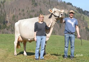 Vogelsmatt BS Glenn-GOLDFEE